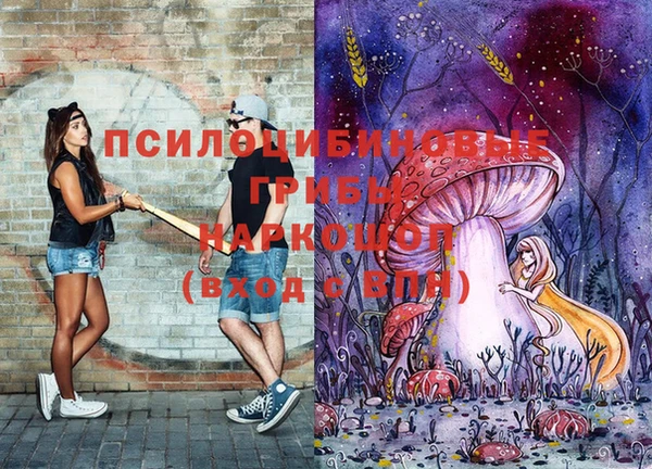 гидропоника Аркадак