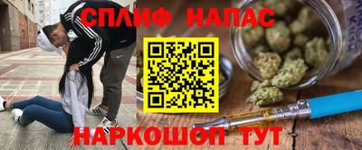 Альфа ПВП Камышлов