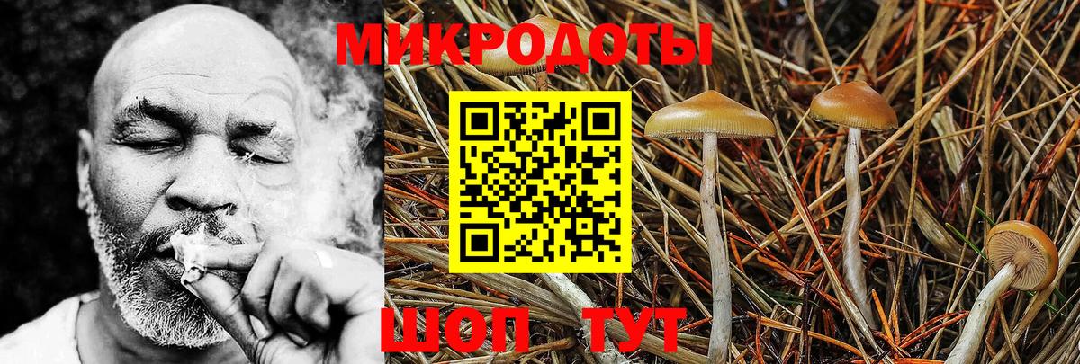 Галлюциногенные грибы Psilocybine cubensis Нурлат